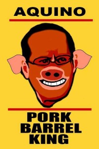 noynoy pig