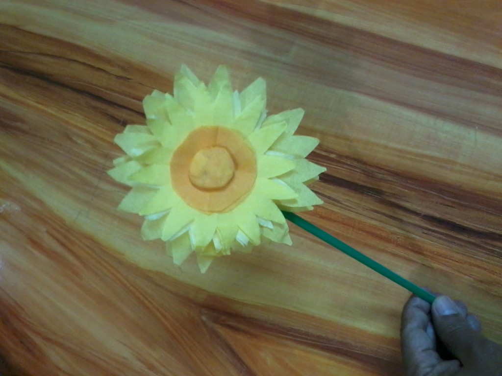 sunflower